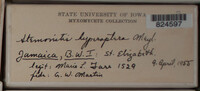 Image Associated With the Occurence